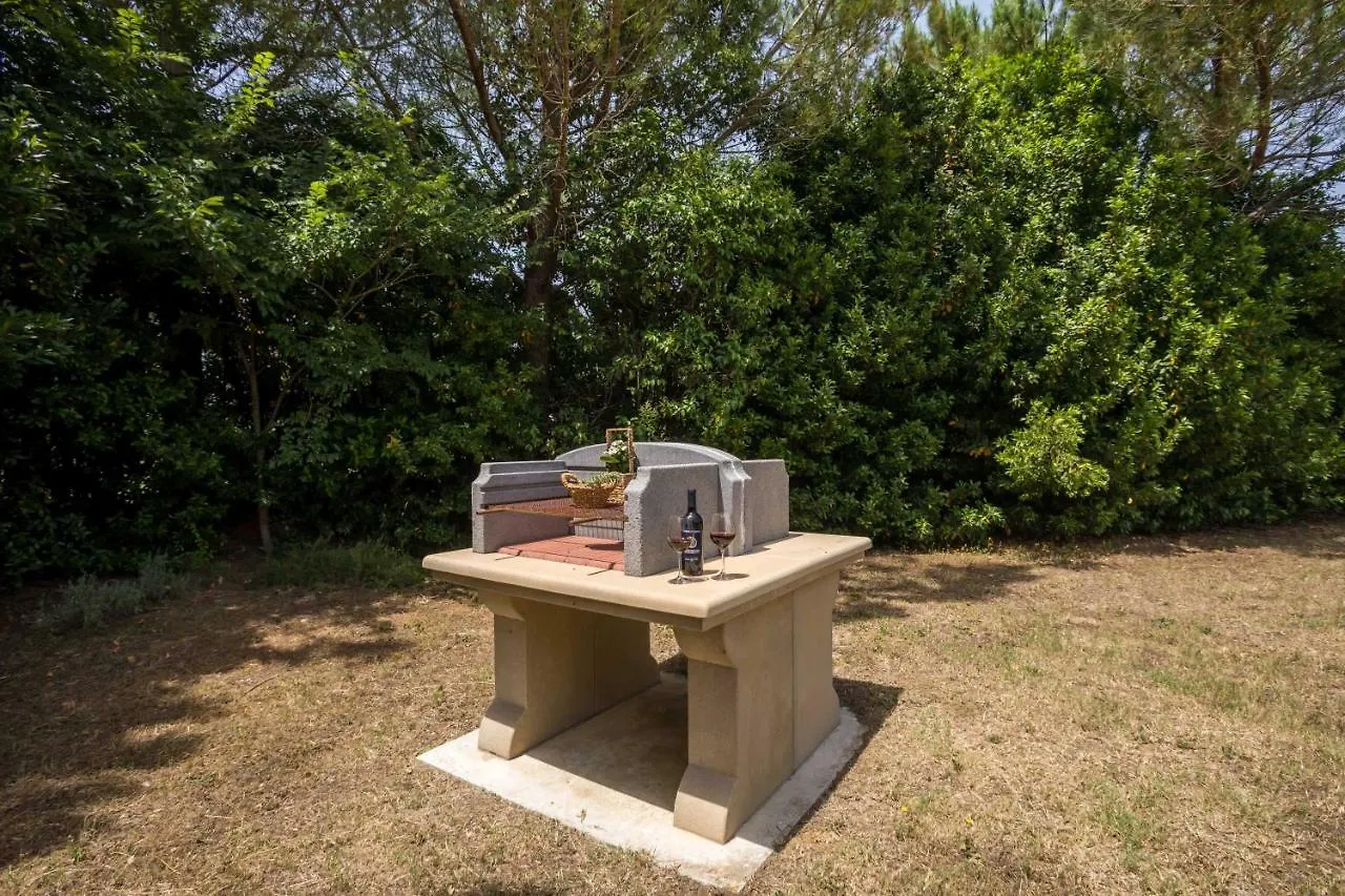 Agriturismo Sant Elmira - Relax With External Jacuzzi Montescudaio 0*,